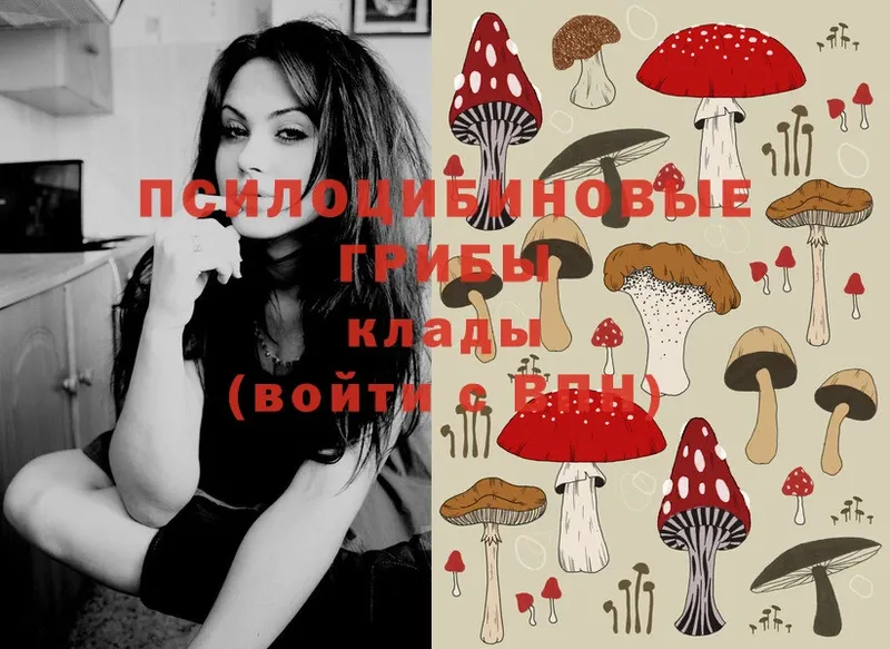 Галлюциногенные грибы MAGIC MUSHROOMS Щёлкино